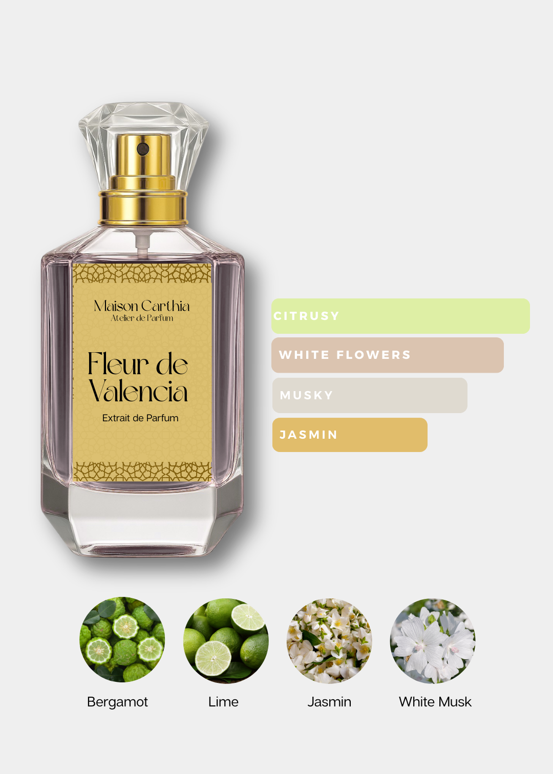 Fleur de Valencia