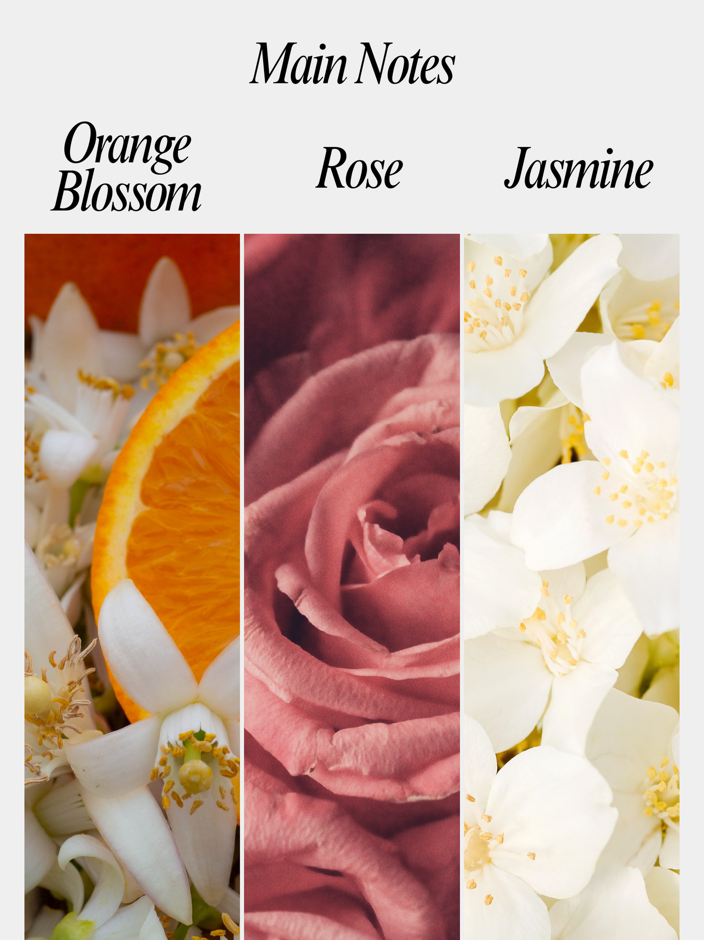 Mother's Day Floral Trio Gift Box