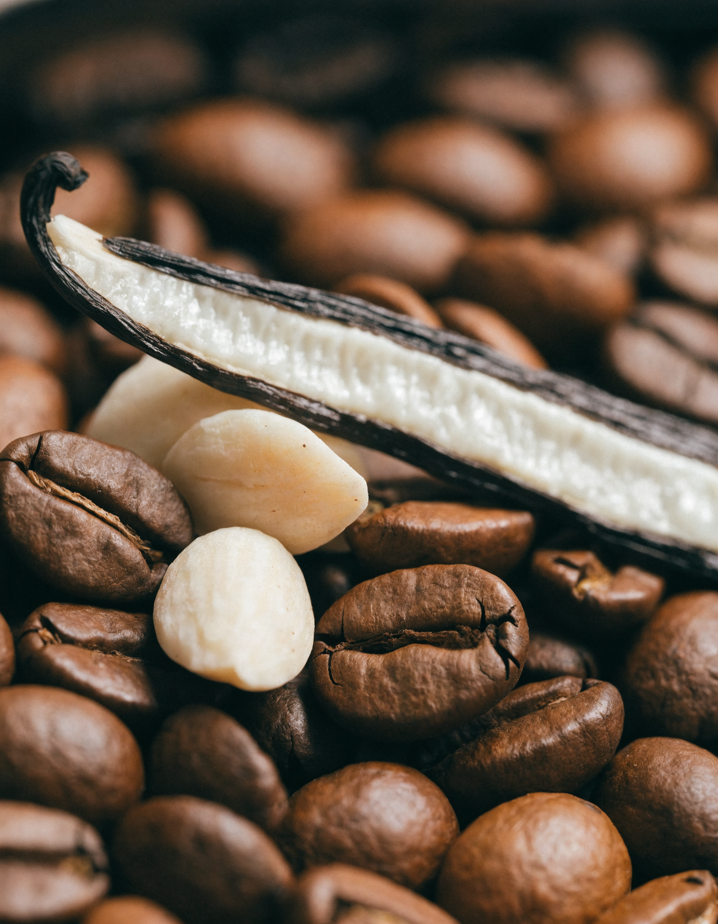 Maison Carthia — Caffe Dolce — Behind the Creation — Nature