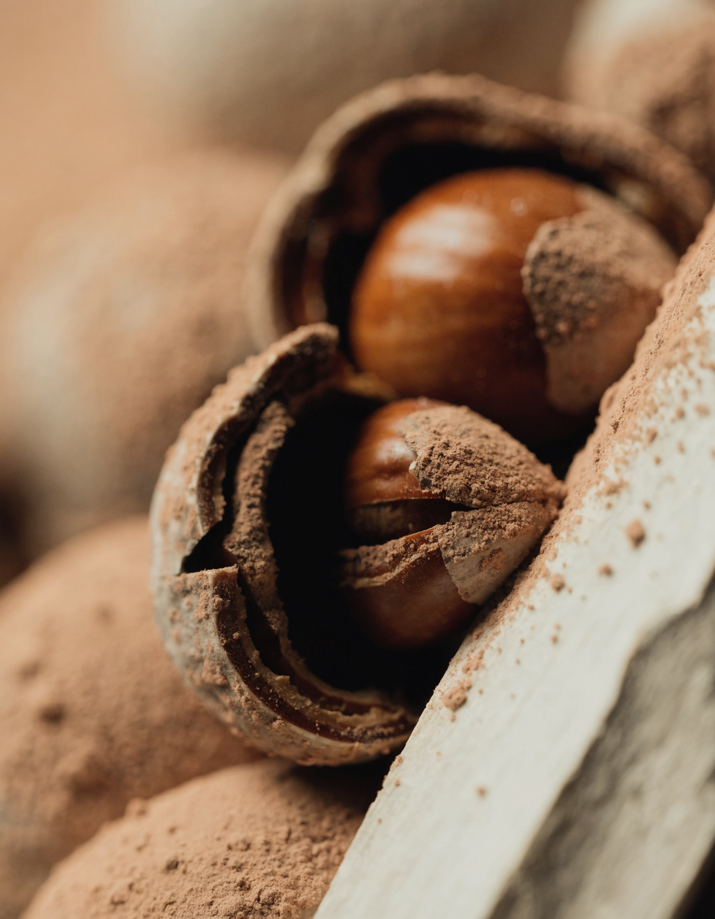 Maison Carthia — Hazel Dust — Behind the Creation — Nature